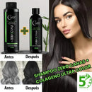 CUBRE TUS CANAS EN 20 MINS CON ZERO CANAS + COLAGENO ULTRA COLOR🎁+ OBSEQUIO SORPRESA⭐
